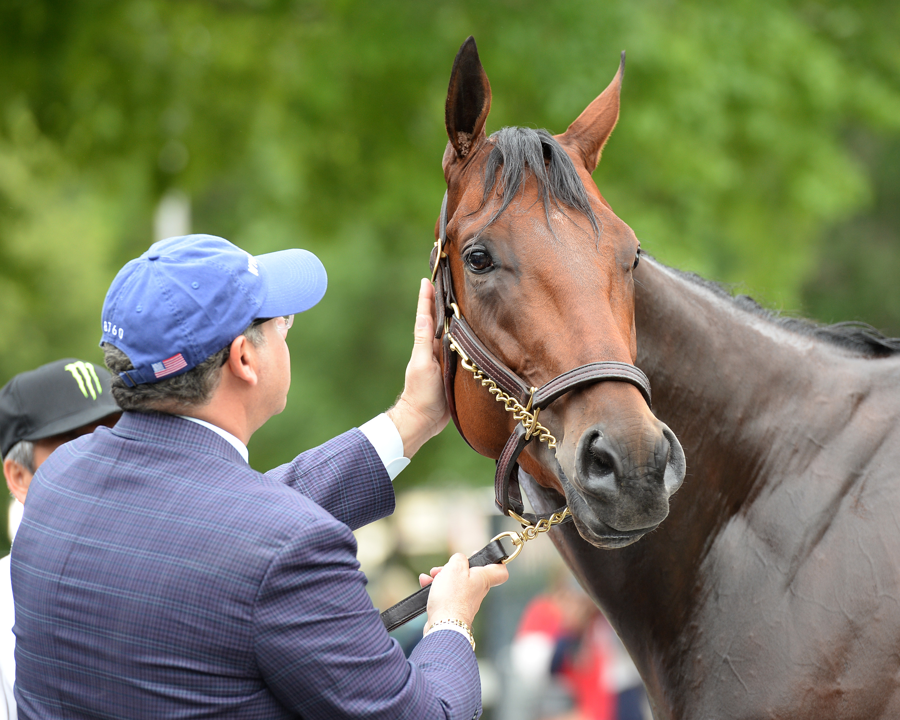 American Pharoah (KY) | National Museum of Racing and Hall of Fame